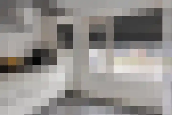 Vlietweg 24 Apeldoorn thumbnail 10