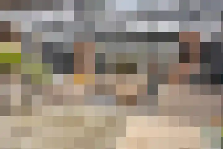 Vlietweg 24 Apeldoorn thumbnail 12