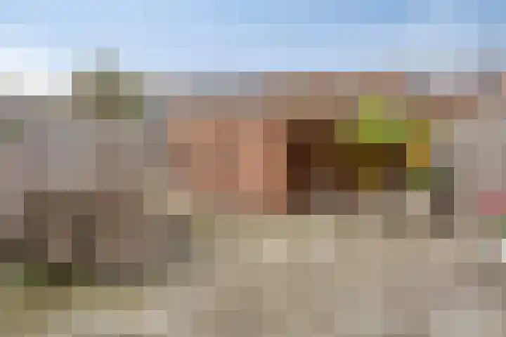 Vlietweg 24 Apeldoorn thumbnail 14