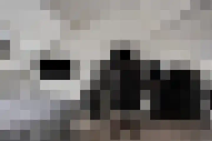 Vlietweg 24 Apeldoorn thumbnail 26