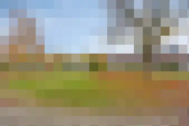 Vlietweg 24 Apeldoorn thumbnail 30