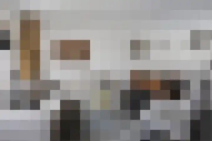 Vlietweg 24 Apeldoorn thumbnail 7