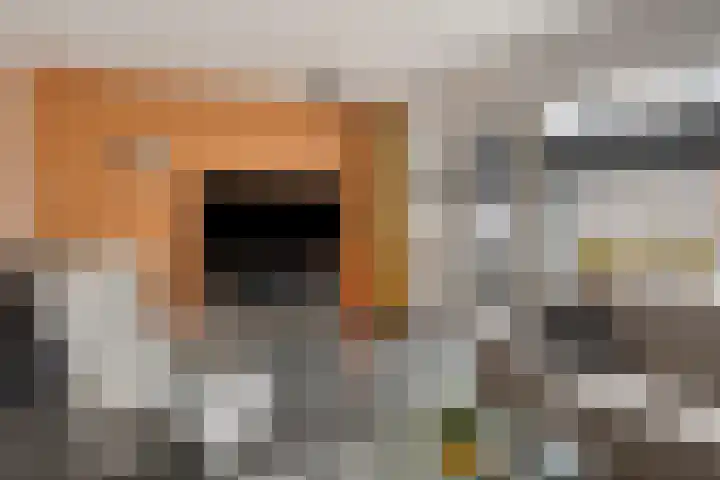 Vlietweg 24 Apeldoorn thumbnail 8