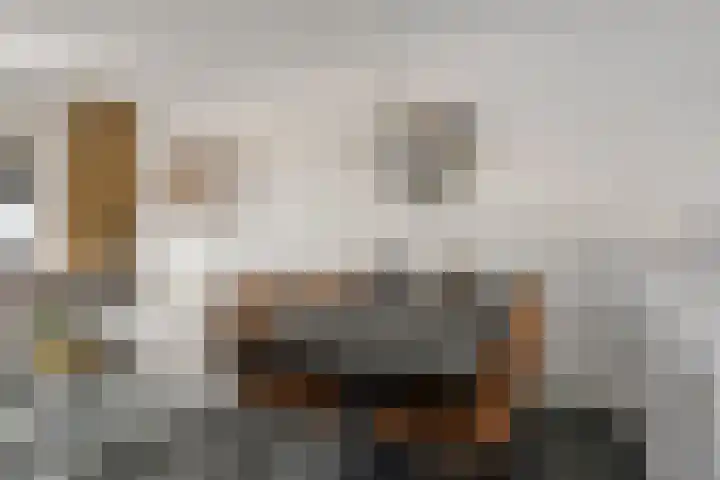 Vlietweg 24 Apeldoorn thumbnail 9