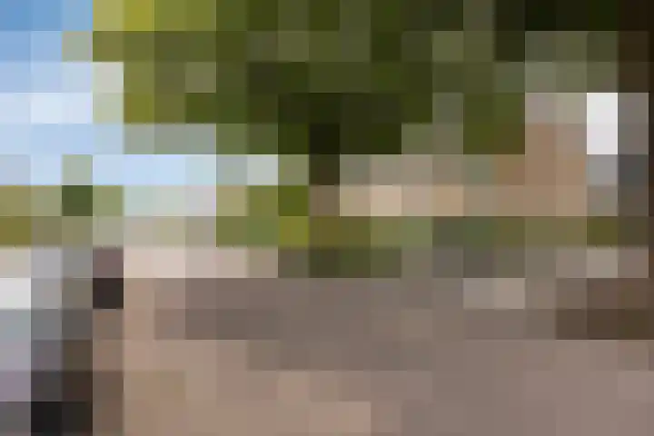 Vlietweg 26 Barendrecht thumbnail 38