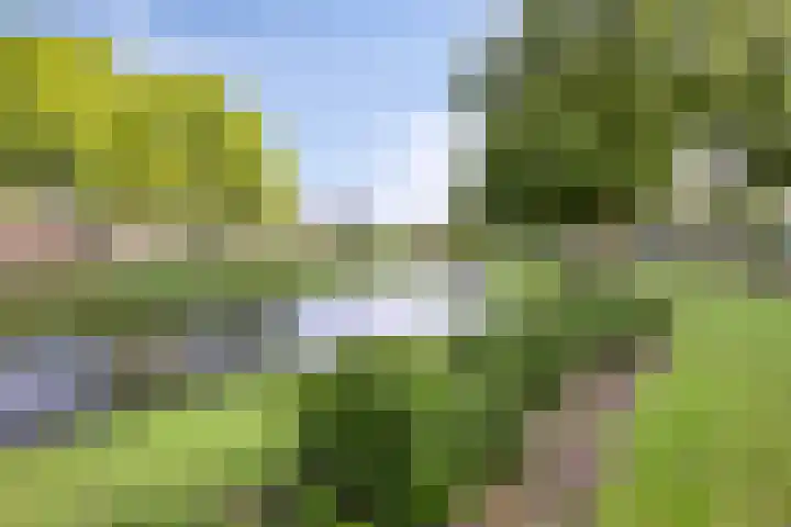 Vlietweg 26 Barendrecht thumbnail 40