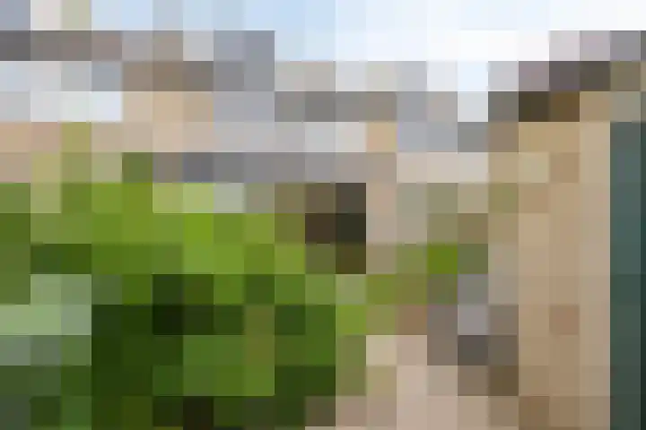 Vlietweg 26 Barendrecht thumbnail 5