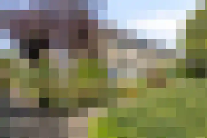 Vlietweg 28 Barendrecht thumbnail 35