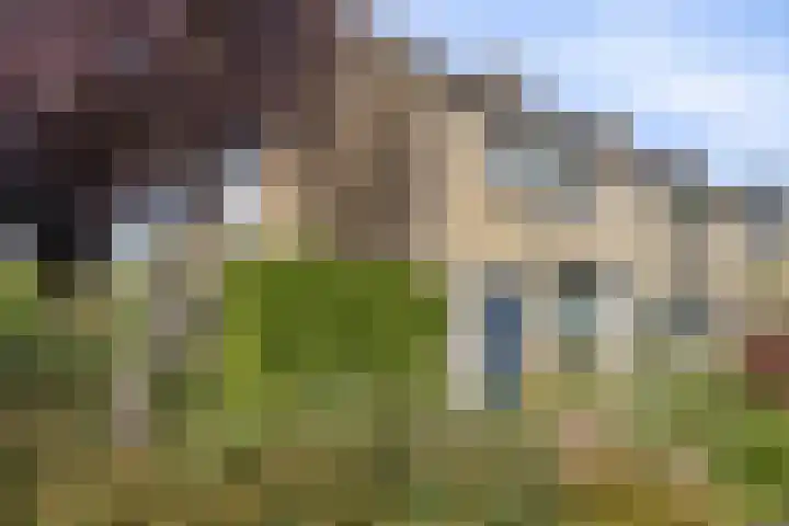 Vlietweg 28 Barendrecht thumbnail 36