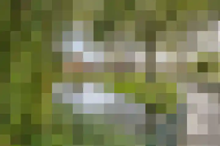 Vlietweg 28 Barendrecht thumbnail 37
