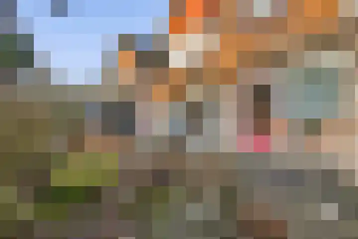 Vlietweg 3 Barendrecht thumbnail 12