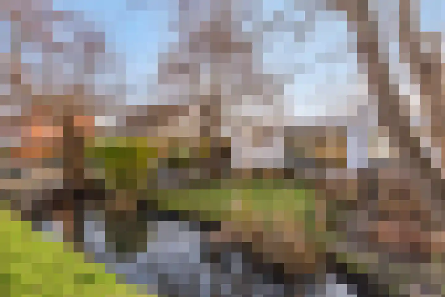 Vlietweg 38 Leiden thumbnail 4