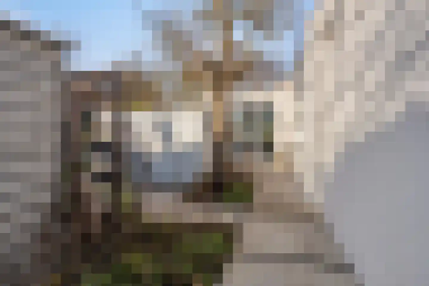 Vlietweg 38 Leiden thumbnail 43