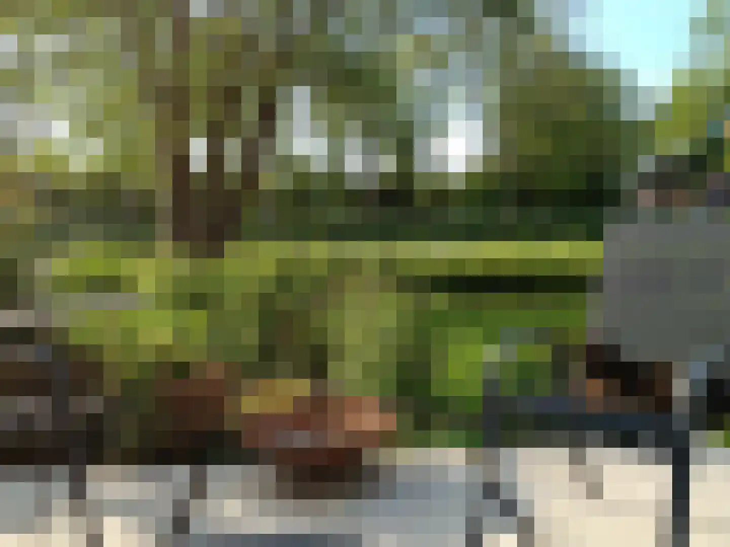 Vlietweg 38 Leiden thumbnail 63