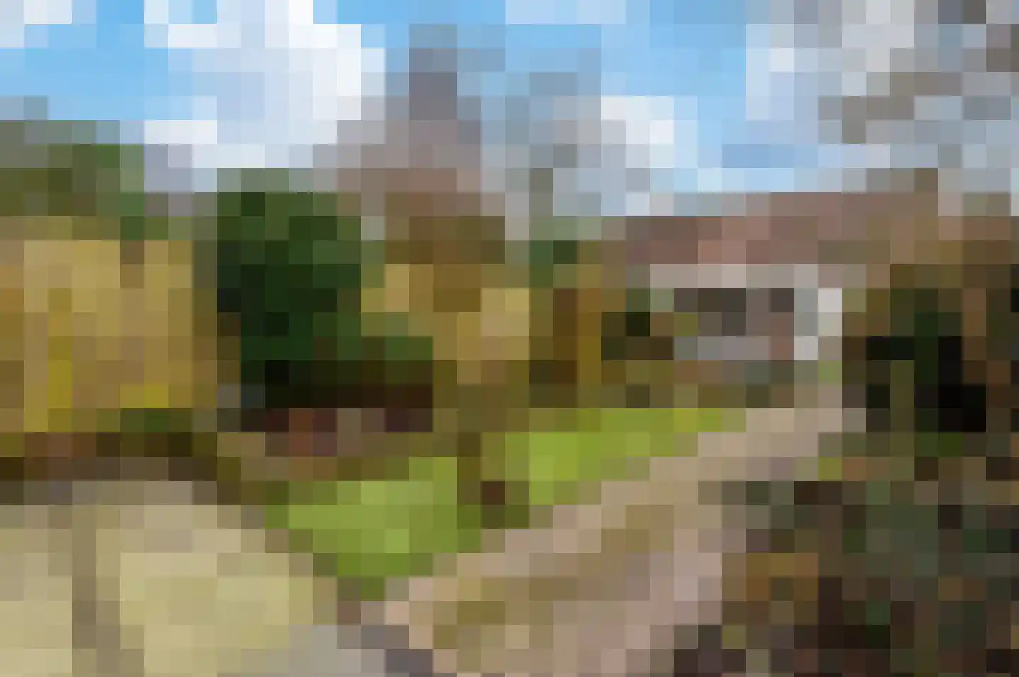 Vlietweg 62 Apeldoorn thumbnail 14