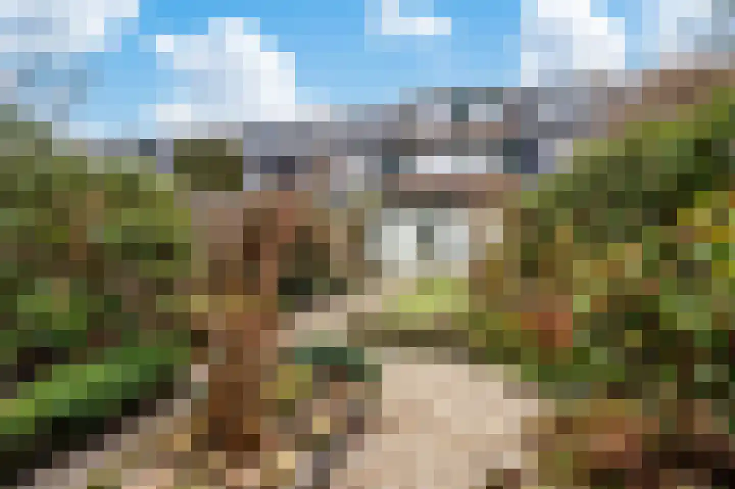 Vlietweg 62 Apeldoorn thumbnail 19