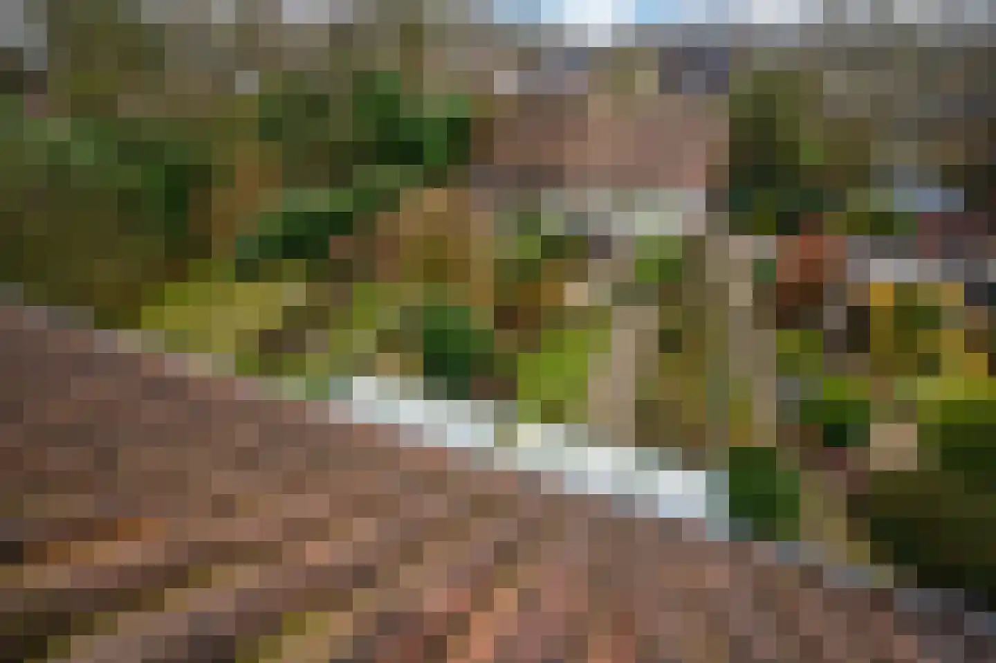 Vlietweg 62 Apeldoorn thumbnail 25