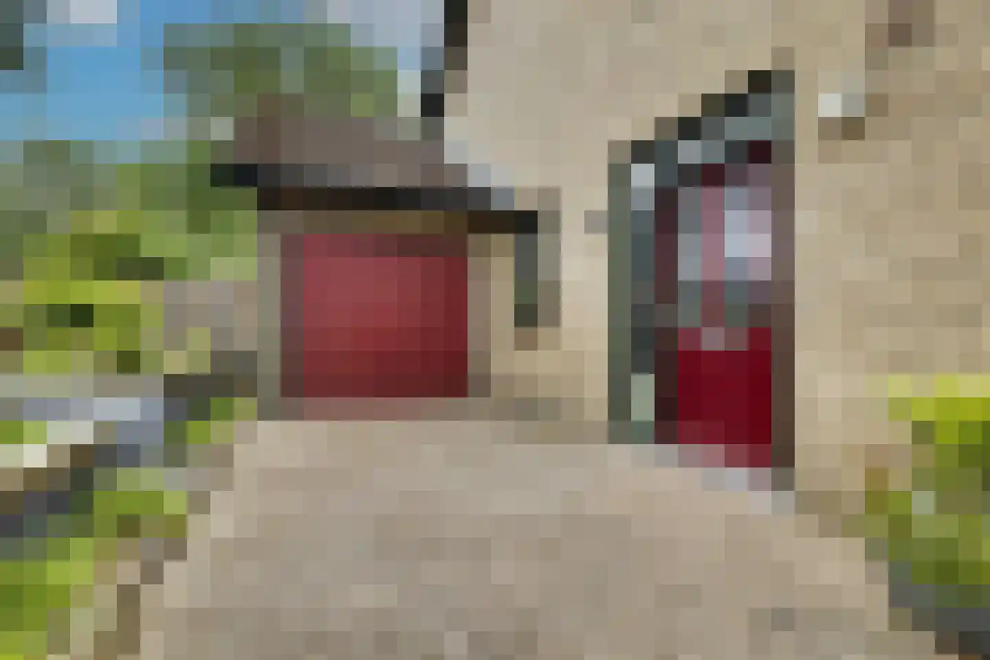 Vlietweg 75 Apeldoorn thumbnail 44