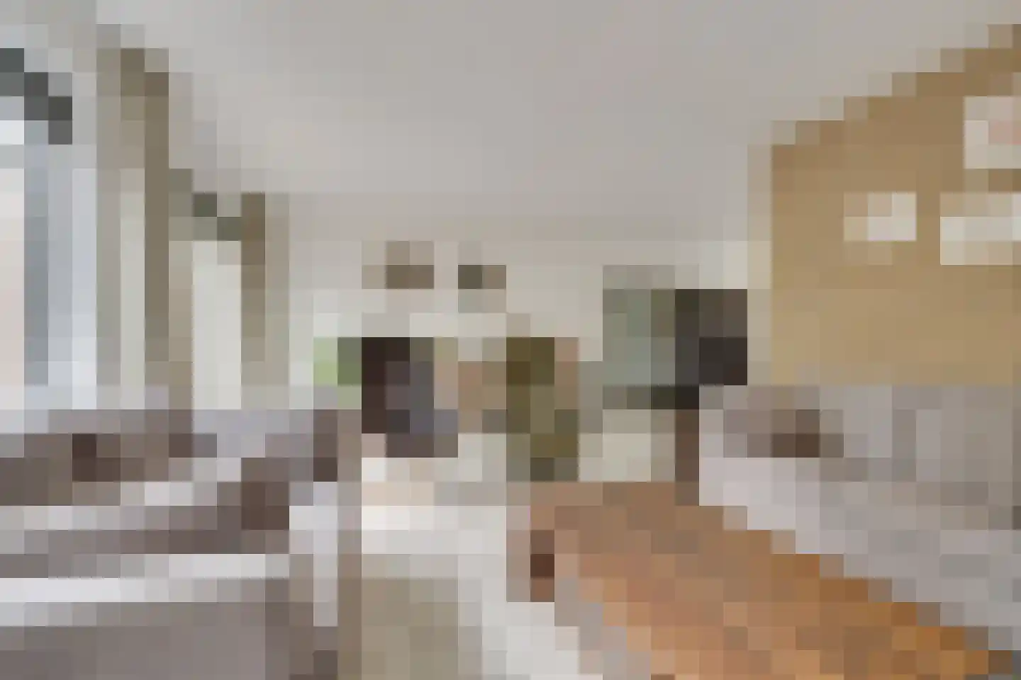 Vlietweg 75 Apeldoorn thumbnail 8