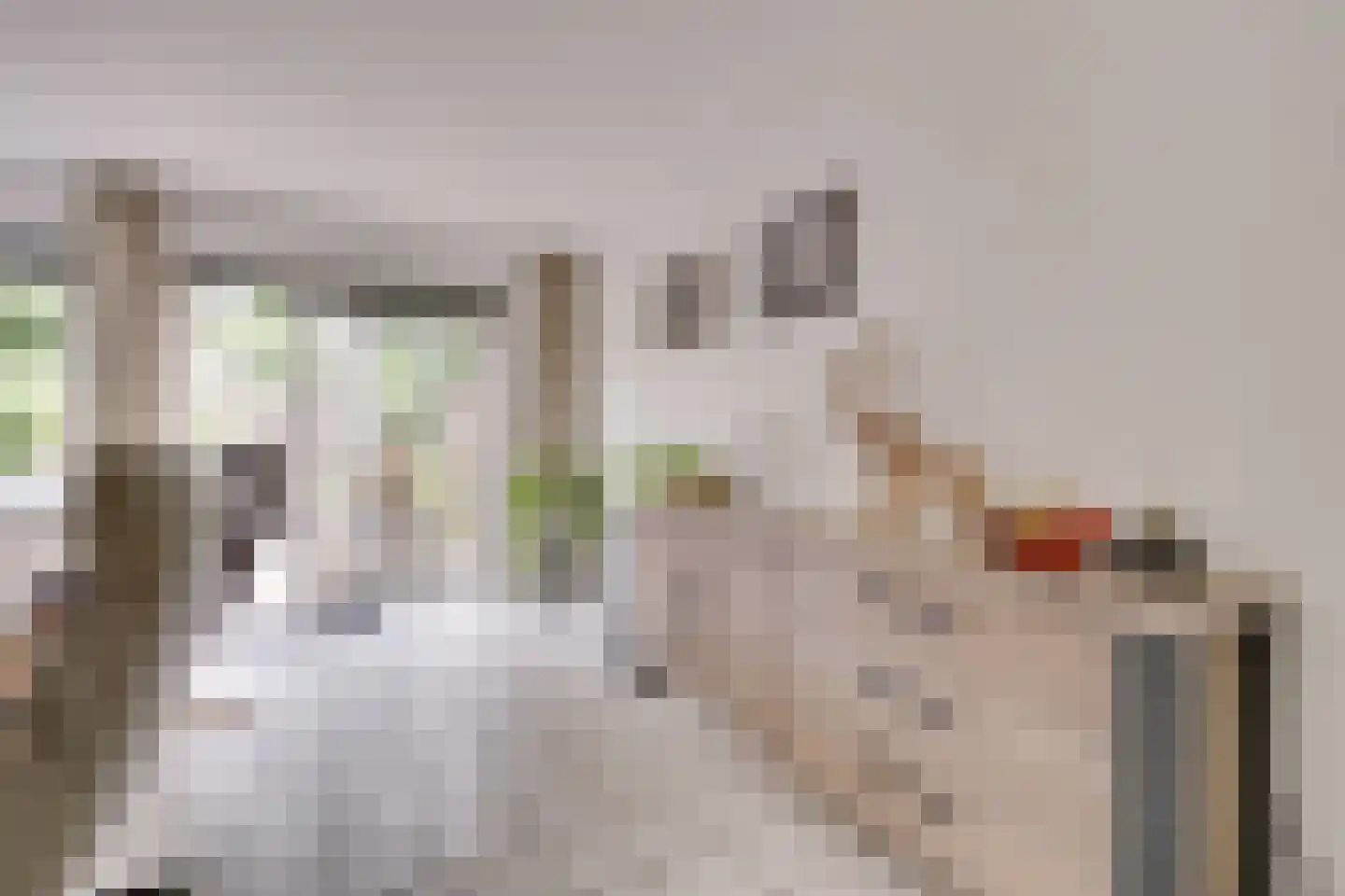 Vlietweg 75 Apeldoorn thumbnail 9