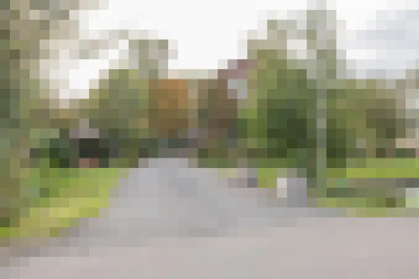 Vlietweg 84 Leiden thumbnail 47