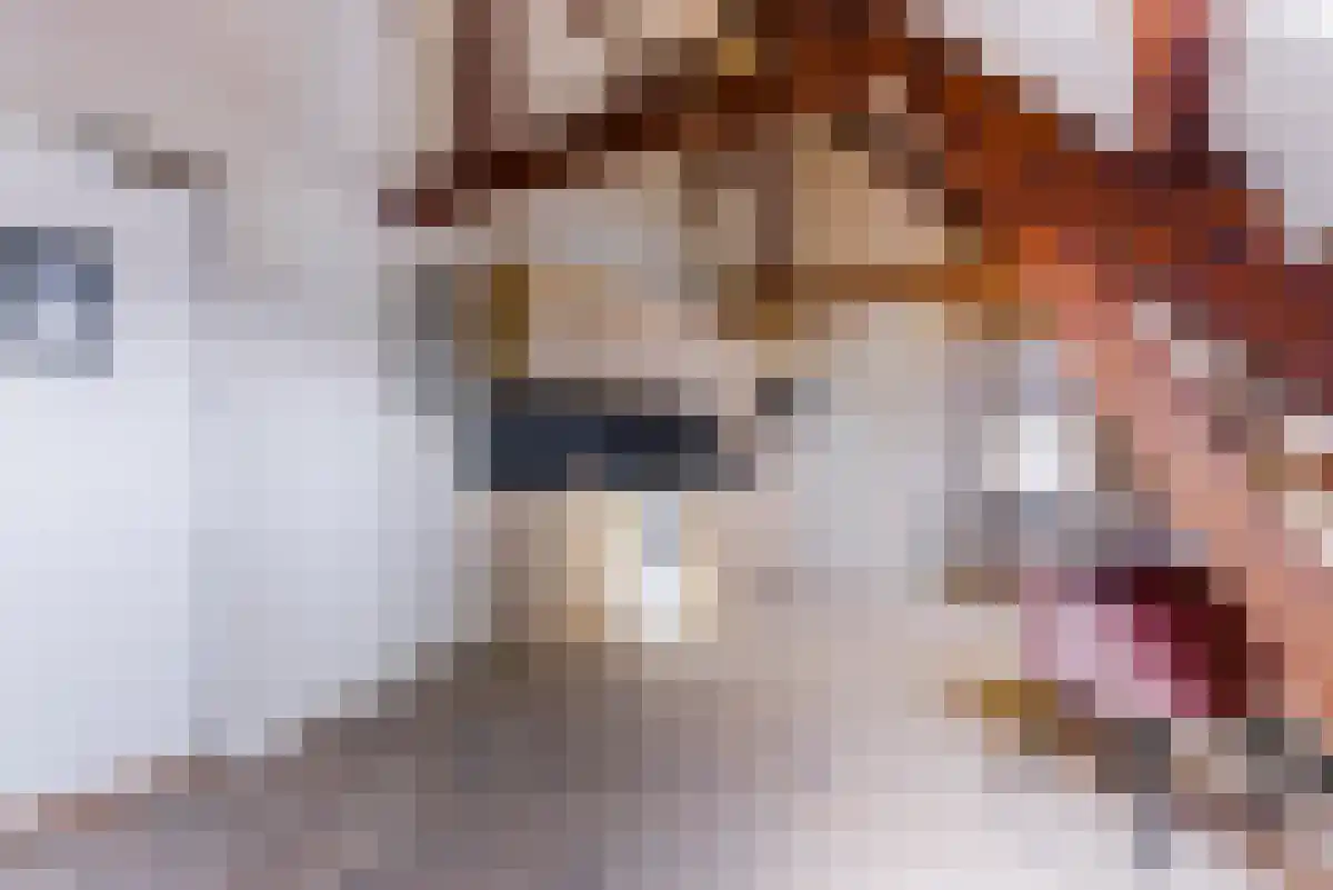 Vlietweg Leidschendam thumbnail 4