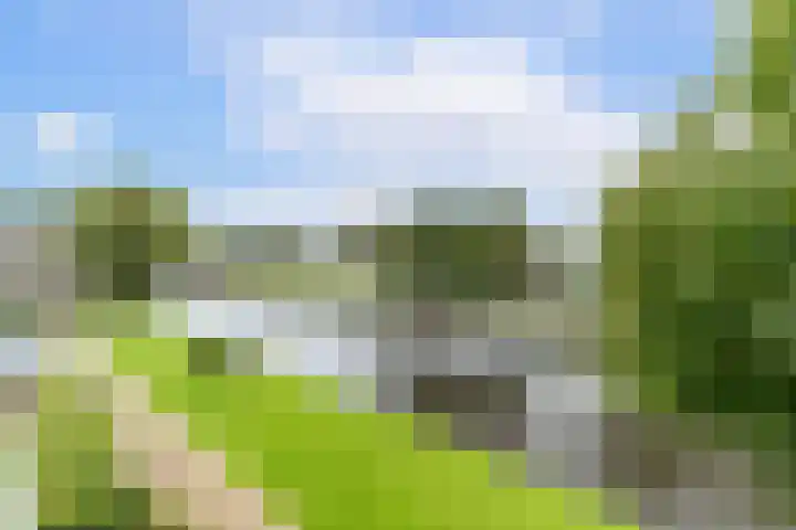 Vlietwijck 114 Voorburg thumbnail 19