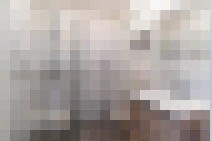 Vlietwijck 114 Voorburg thumbnail 24
