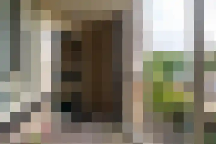 Vlietwijck 114 Voorburg thumbnail 27