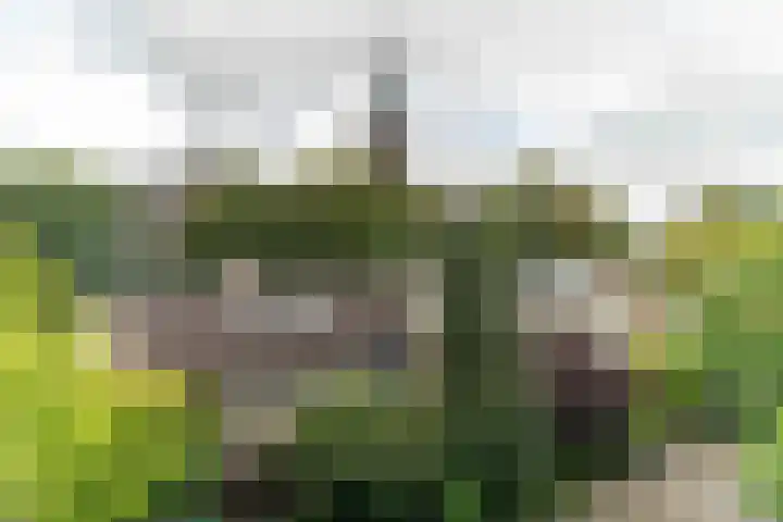 Vlietwijck 114 Voorburg thumbnail 29
