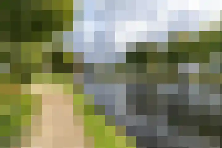 Vlietwijck 114 Voorburg thumbnail 30