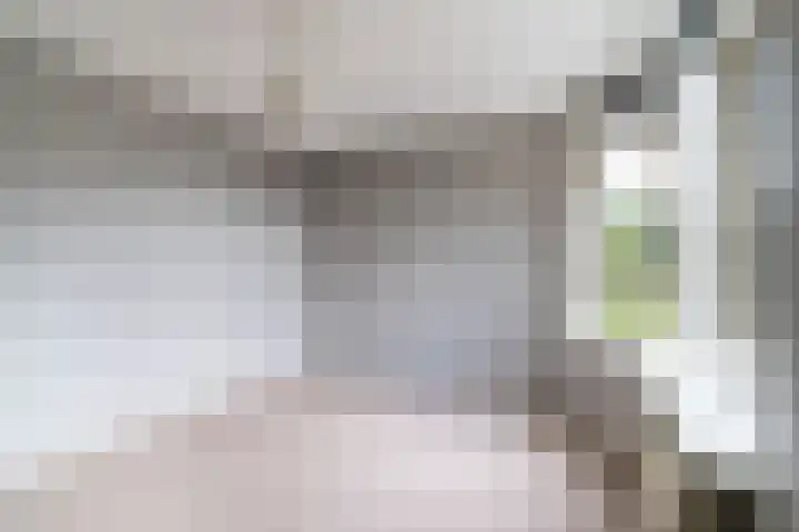 Vlietwijck 114 Voorburg thumbnail 4