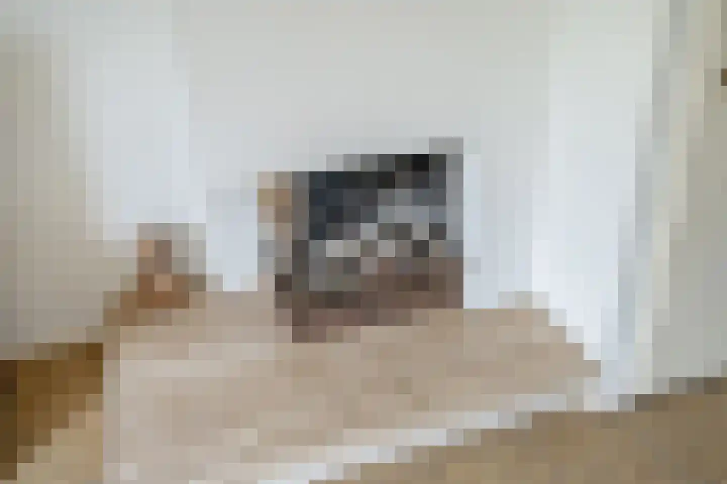 Vlietwijck 4 Voorburg thumbnail 10