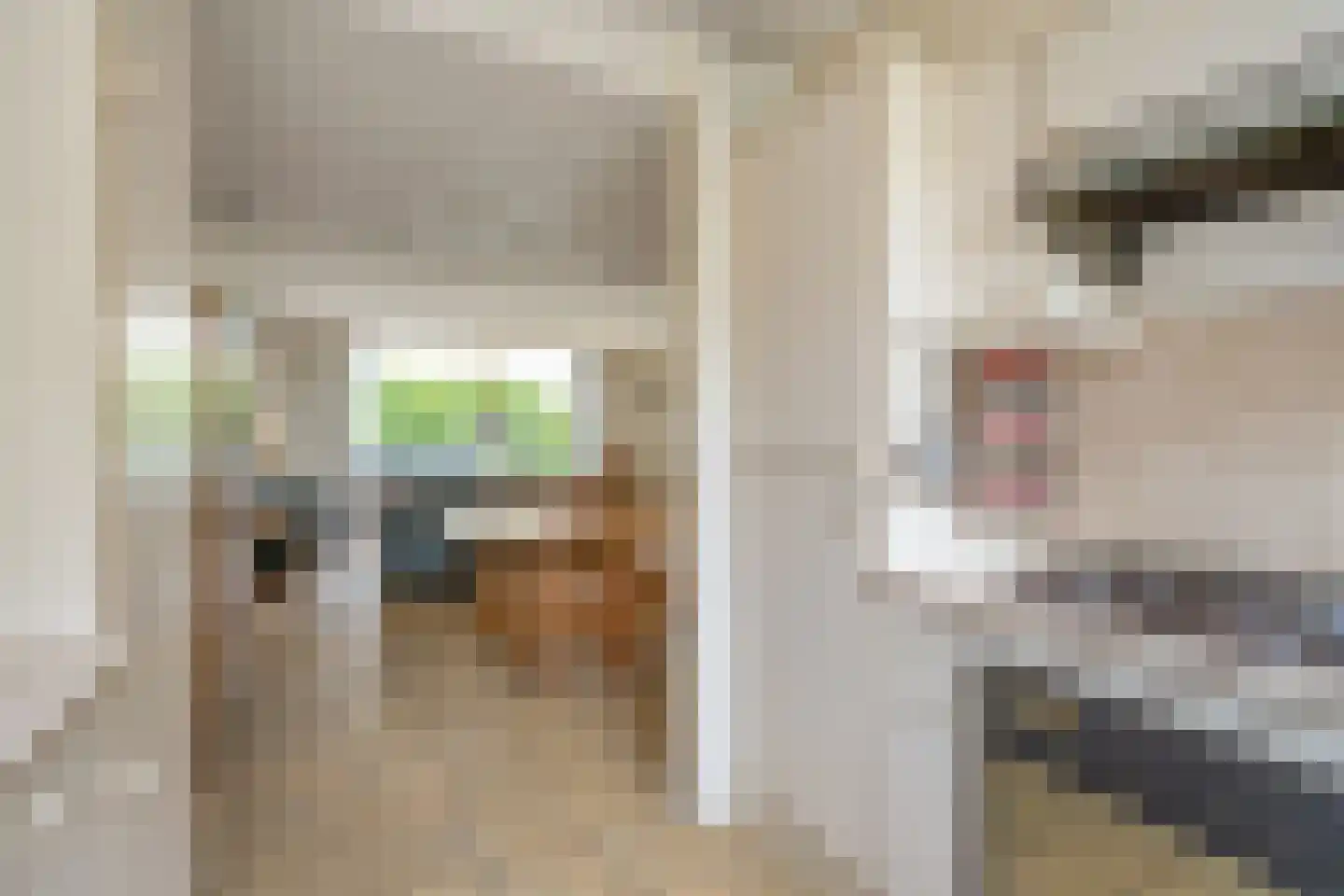 Vlietwijck 4 Voorburg thumbnail 15