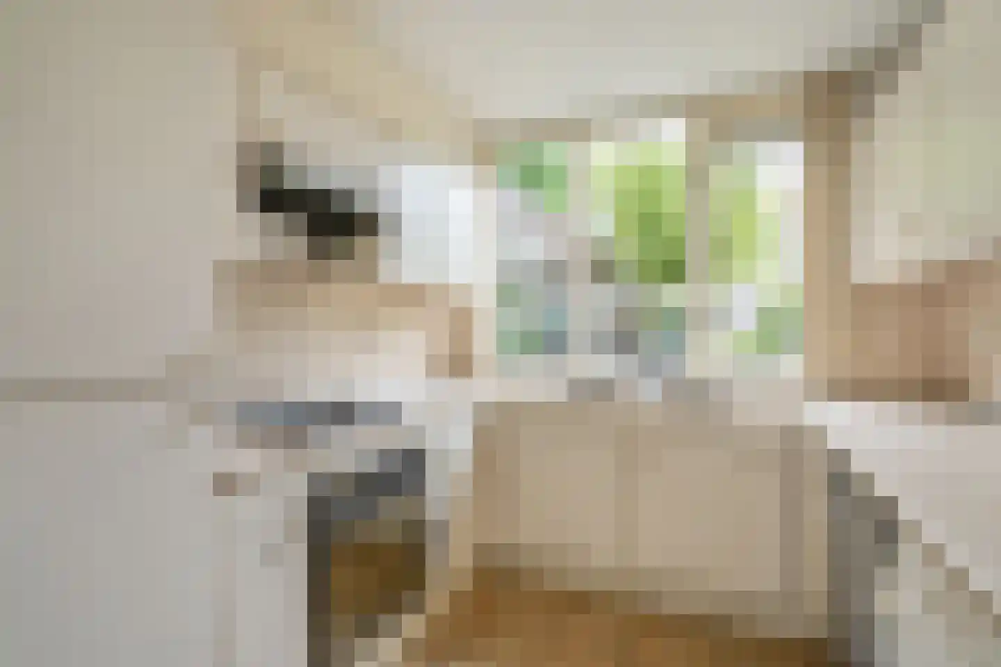 Vlietwijck 4 Voorburg thumbnail 16