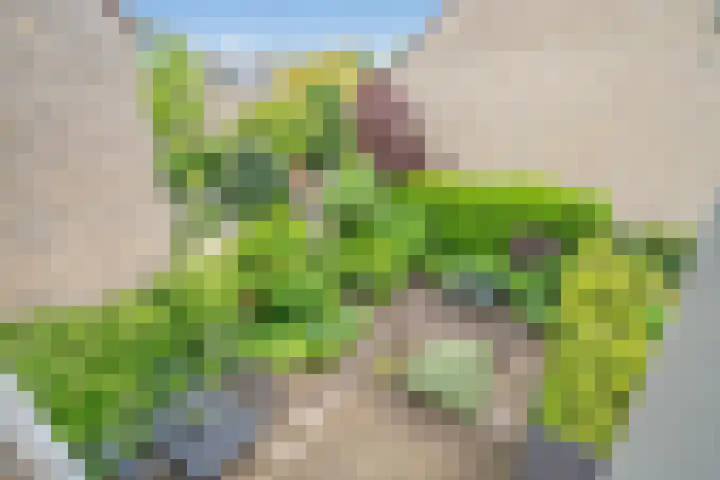 Vlietwijck 4 Voorburg thumbnail 33