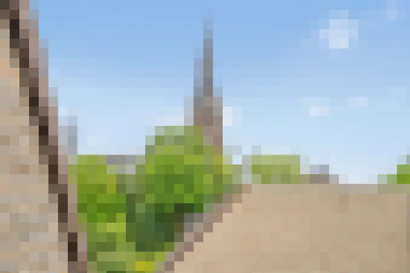 Vlietwijck 4 Voorburg thumbnail 34