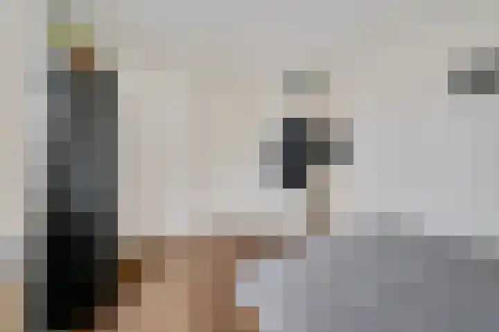 Vlietwijck 47 Voorburg thumbnail 11