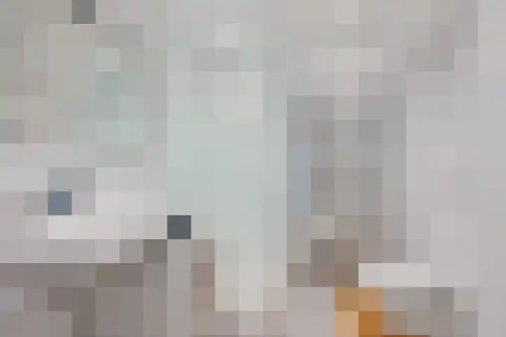 Vlietwijck 47 Voorburg thumbnail 12