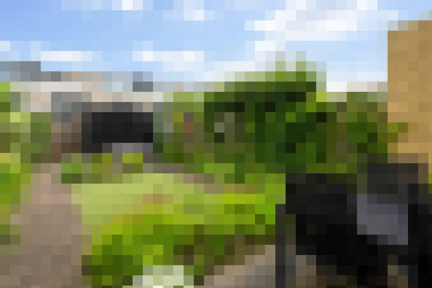 Vlietzicht 13 Dordrecht thumbnail 38
