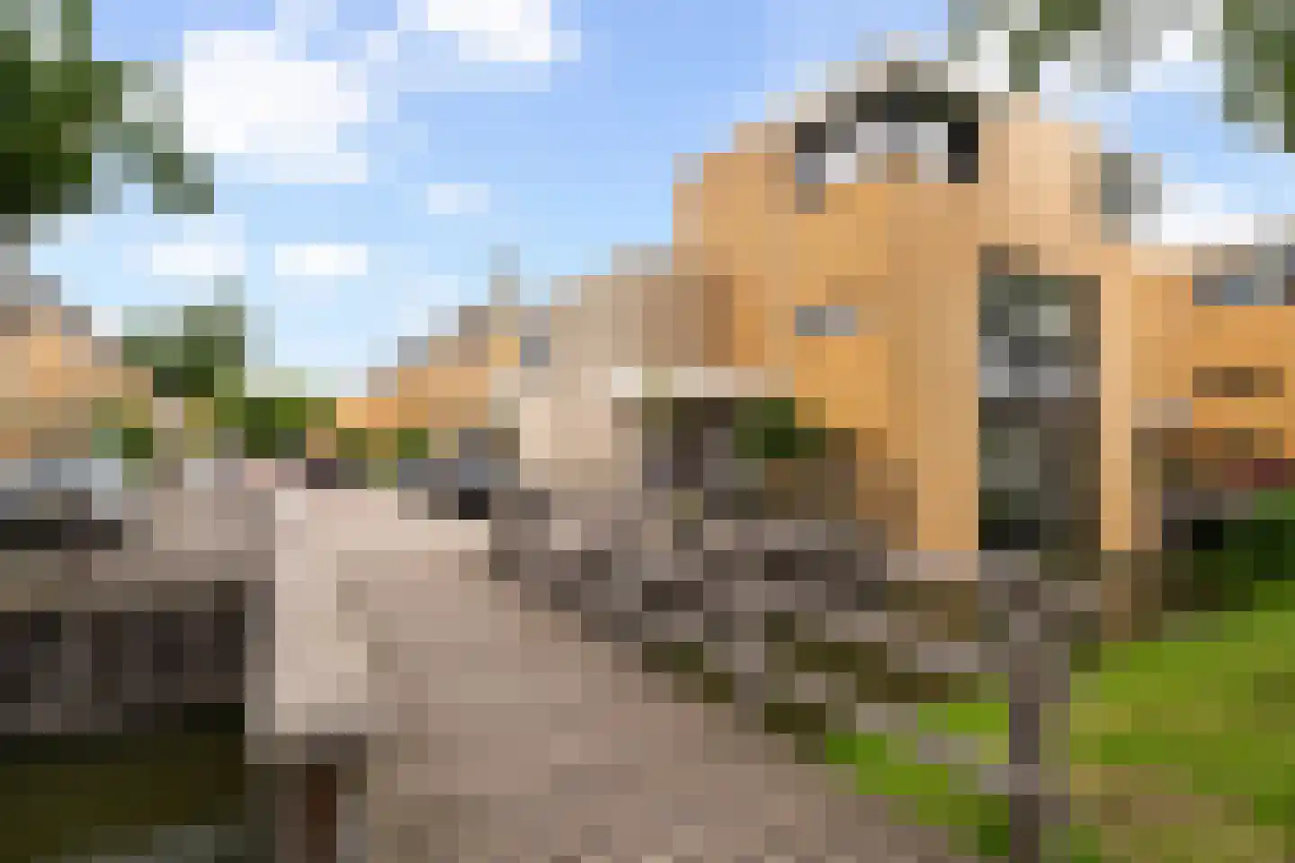 Vlietzicht 13 Dordrecht thumbnail 45