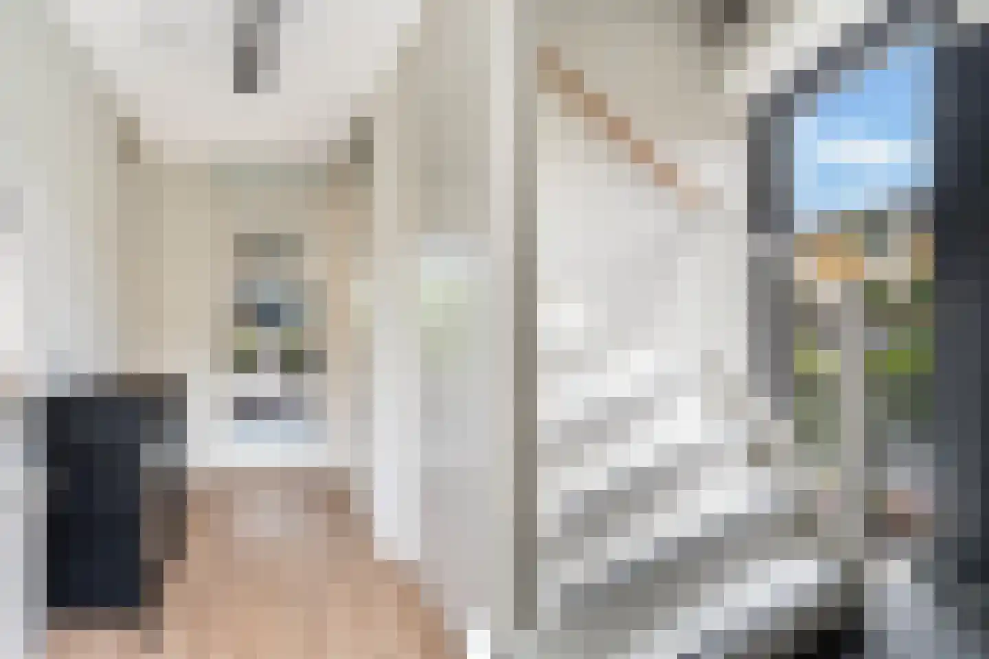 Vlietzicht 13 Dordrecht thumbnail 8