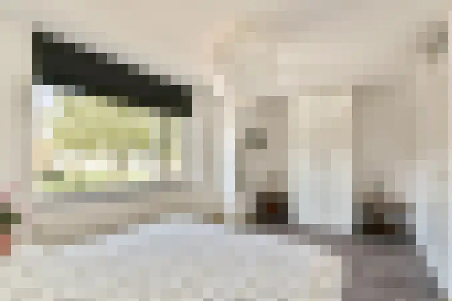 Vlietzicht 31 Dordrecht thumbnail 22