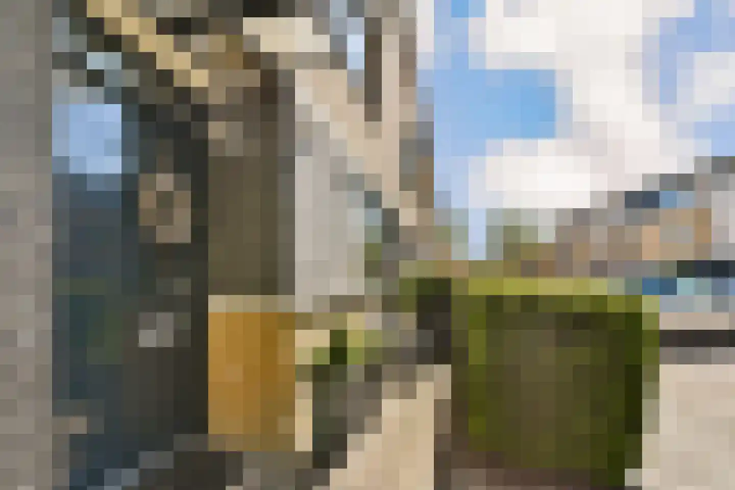 Vlietzicht 31 Dordrecht thumbnail 9