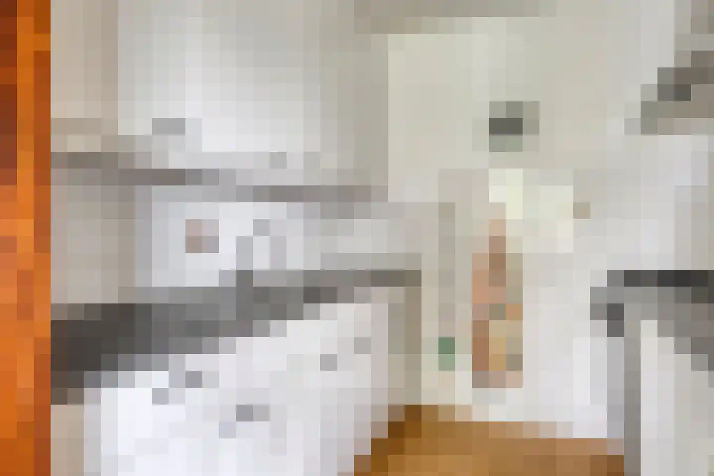 Vlietzicht 48 Voorschoten thumbnail 16