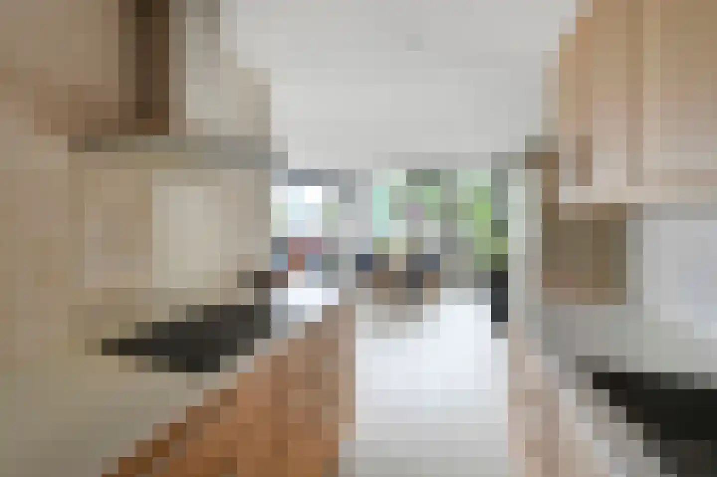 Vlietzicht 50 Voorschoten thumbnail 12
