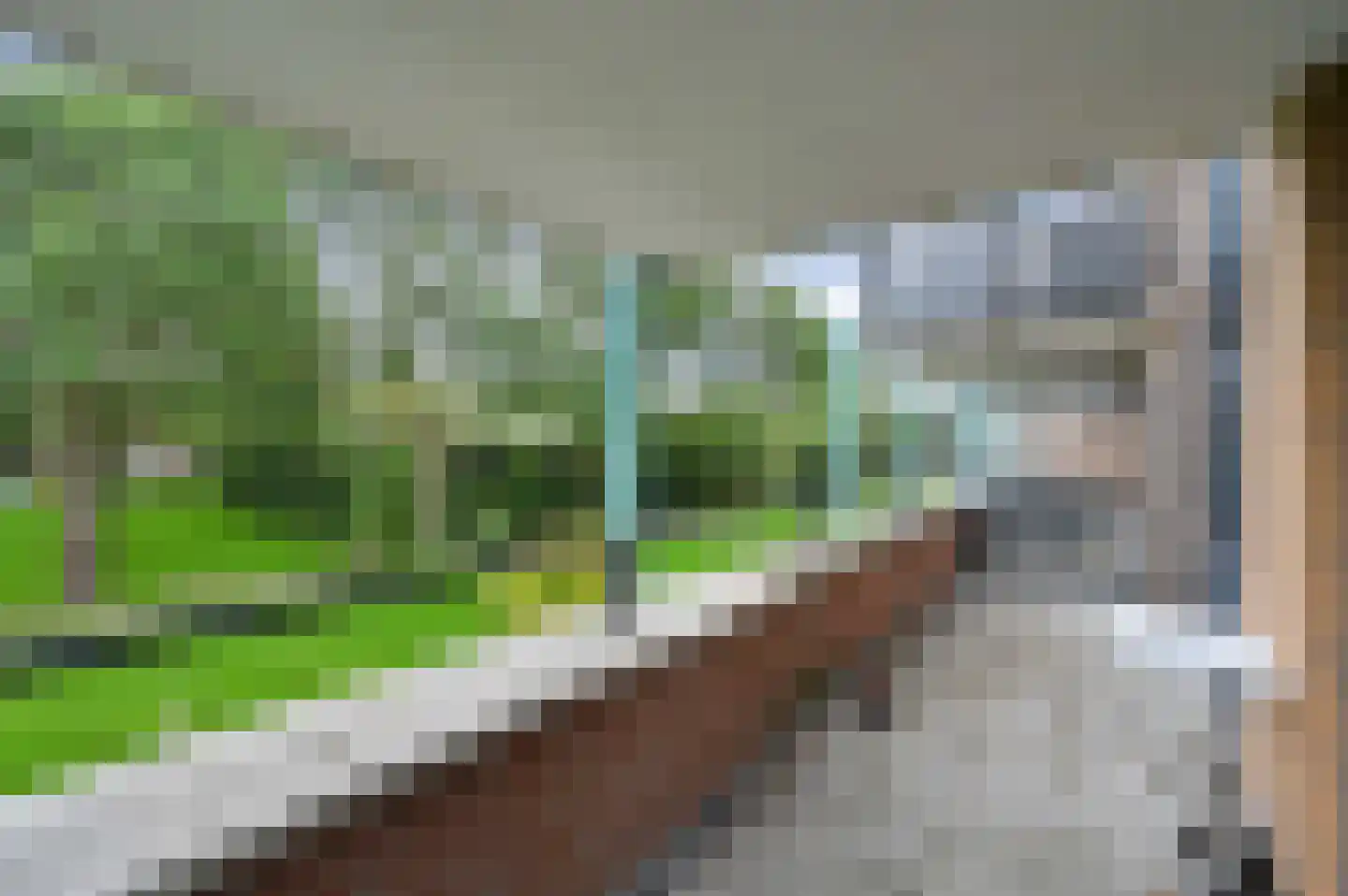 Vlietzicht 50 Voorschoten thumbnail 14