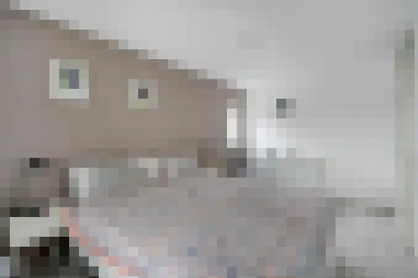 Vlietzicht 50 Voorschoten thumbnail 16