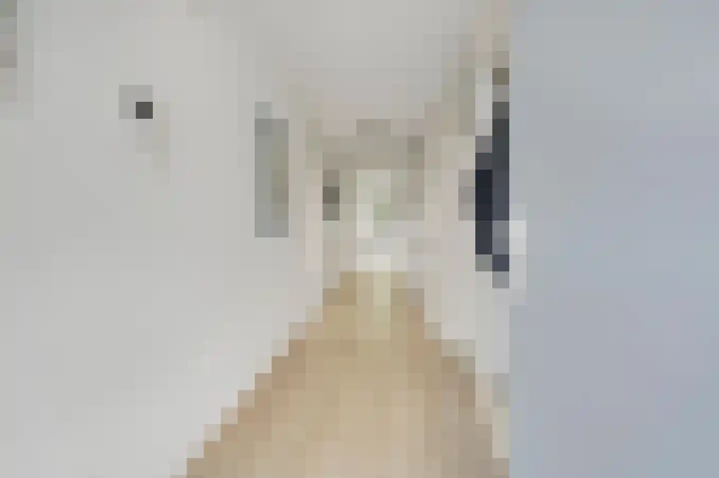 Vlietzicht 50 Voorschoten thumbnail 7