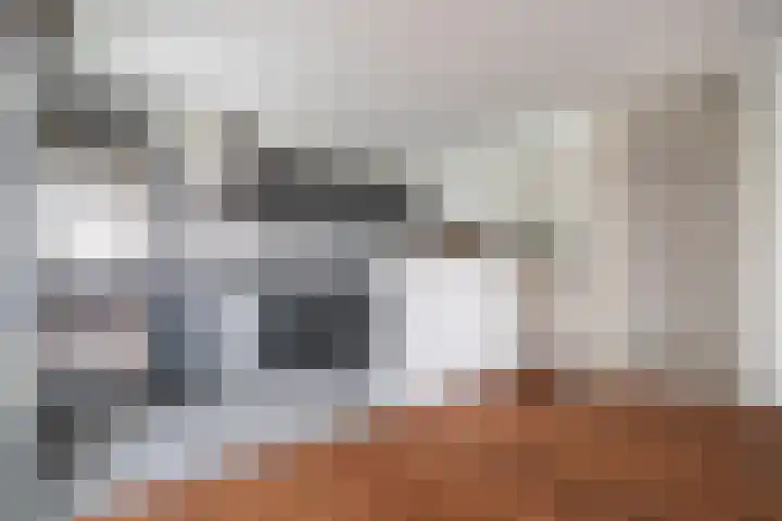 Vlietzicht 6 Voorschoten thumbnail 14